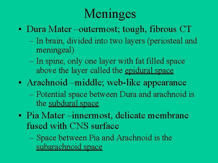 Meninges • Dura Mater –outermost; tough, fibrous CT – In brain, divided into two