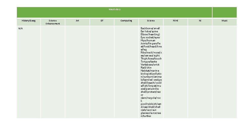 Vocabulary History/Geog N/A Science Enhancement Art DT Computing Science Backbone/smell Ear lobe/spine Elbow/hear(ing) Eye