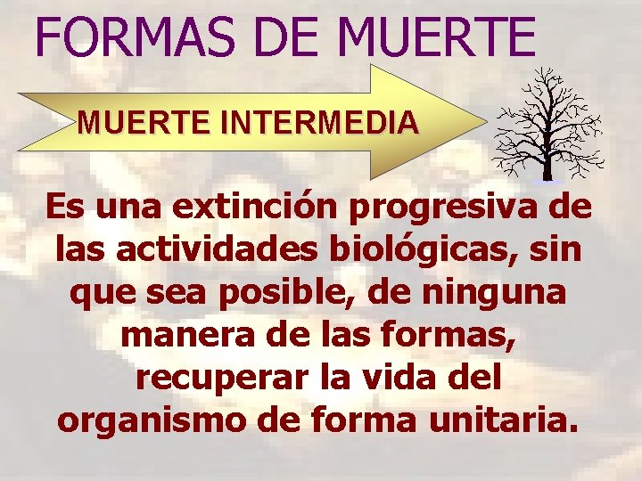 FORMAS DE MUERTE INTERMEDIA Es una extinción progresiva de las actividades biológicas, sin que