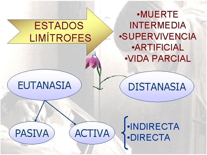ESTADOS LIMÍTROFES • MUERTE INTERMEDIA • SUPERVIVENCIA • ARTIFICIAL • VIDA PARCIAL EUTANASIA DISTANASIA