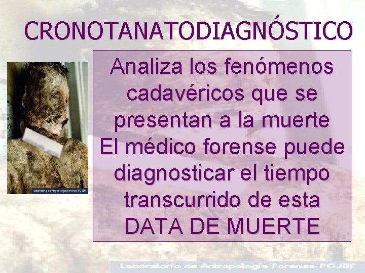CRONOTANATODIAGNÓSTICO Analiza los fenómenos cadavéricos que se presentan a la muerte El médico forense