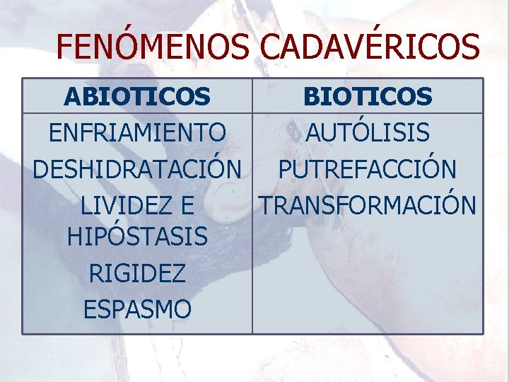 FENÓMENOS CADAVÉRICOS ABIOTICOS ENFRIAMIENTO AUTÓLISIS DESHIDRATACIÓN PUTREFACCIÓN LIVIDEZ E TRANSFORMACIÓN HIPÓSTASIS RIGIDEZ ESPASMO 