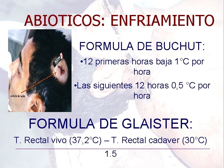 ABIOTICOS: ENFRIAMIENTO FORMULA DE BUCHUT: • 12 primeras horas baja 1°C por hora •