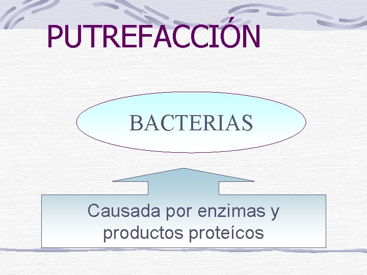 PUTREFACCIÓN BACTERIAS Causada por enzimas y productos proteícos 