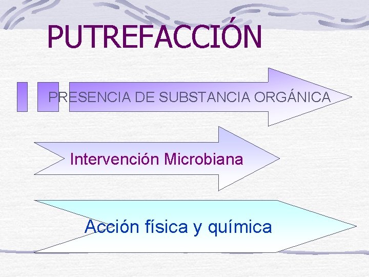 PUTREFACCIÓN PRESENCIA DE SUBSTANCIA ORGÁNICA Intervención Microbiana Acción física y química 