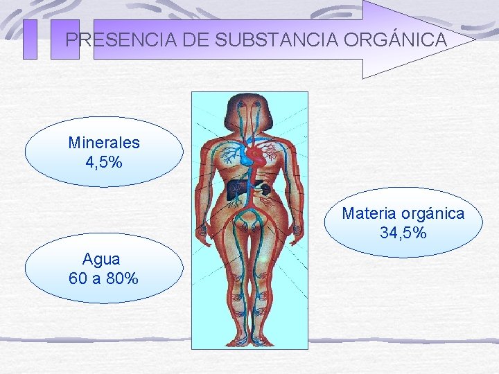 PRESENCIA DE SUBSTANCIA ORGÁNICA Minerales 4, 5% Materia orgánica 34, 5% Agua 60 a