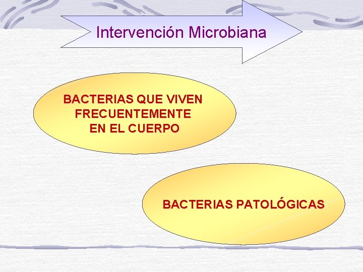 Intervención Microbiana BACTERIAS QUE VIVEN FRECUENTEMENTE EN EL CUERPO BACTERIAS PATOLÓGICAS 