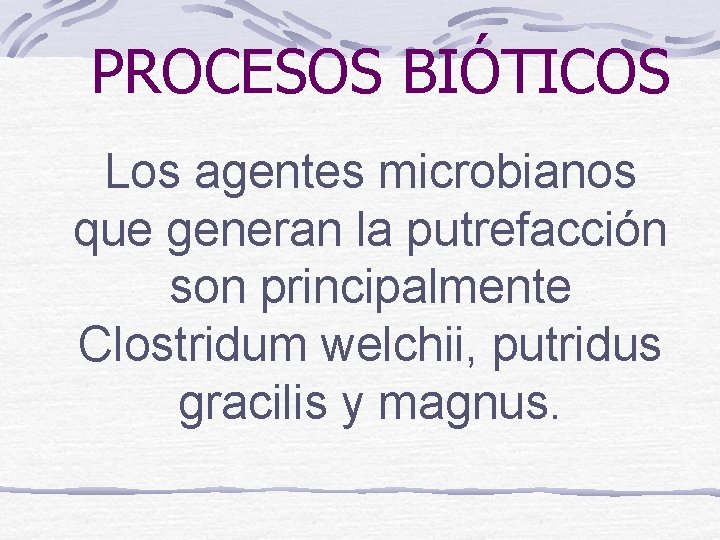 PROCESOS BIÓTICOS Los agentes microbianos que generan la putrefacción son principalmente Clostridum welchii, putridus