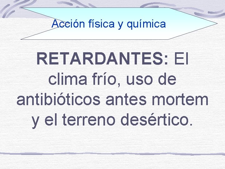 Acción física y química RETARDANTES: El clima frío, uso de antibióticos antes mortem y