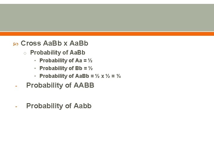  Cross Aa. Bb x Aa. Bb o Probability of Aa. Bb • Probability