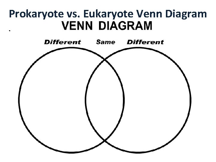 Prokaryote vs. Eukaryote Venn Diagram. 