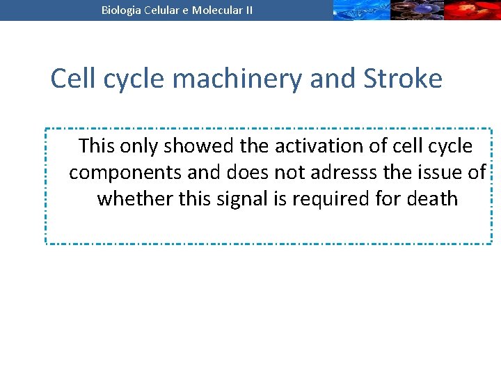 Biologia Celular e Molecular II Cell cycle machinery and Stroke This only showed the