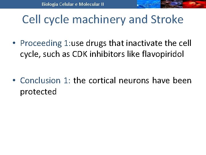 Biologia Celular e Molecular II Cell cycle machinery and Stroke • Proceeding 1: use