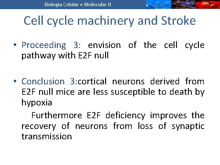 Biologia Celular e Molecular II Cell cycle machinery and Stroke • Proceeding 3: envision