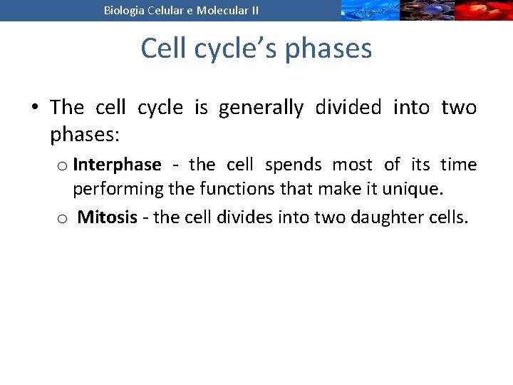 Biologia Celular e Molecular II Cell cycle’s phases • The cell cycle is generally