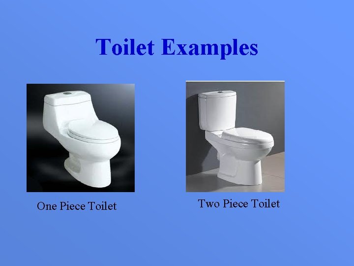 Toilet Examples One Piece Toilet Two Piece Toilet 