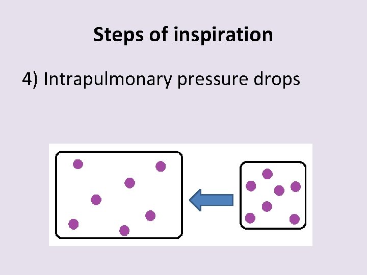 Steps of inspiration 4) Intrapulmonary pressure drops 