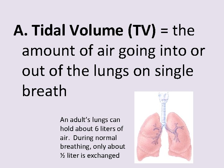 A. Tidal Volume (TV) = the amount of air going into or out of