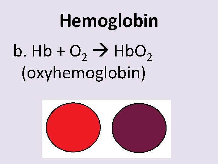 Hemoglobin b. Hb + O 2 Hb. O 2 (oxyhemoglobin) 