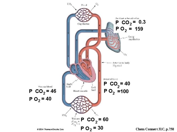 Chem Connect 31 C, p. 750 