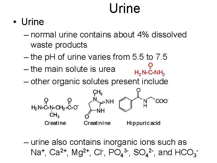 Urine • Urine – normal urine contains about 4% dissolved waste products – the