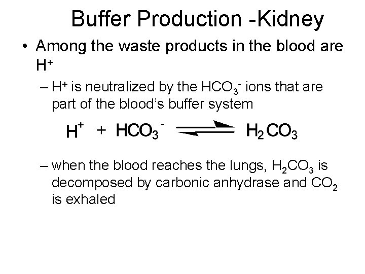 Buffer Production -Kidney • Among the waste products in the blood are H+ –