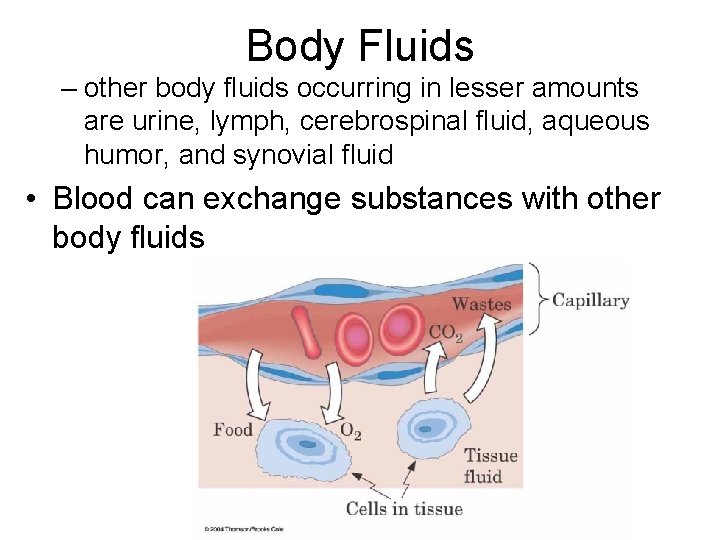 Body Fluids – other body fluids occurring in lesser amounts are urine, lymph, cerebrospinal