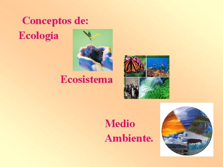 Conceptos de: Ecología Ecosistema Medio Ambiente. 