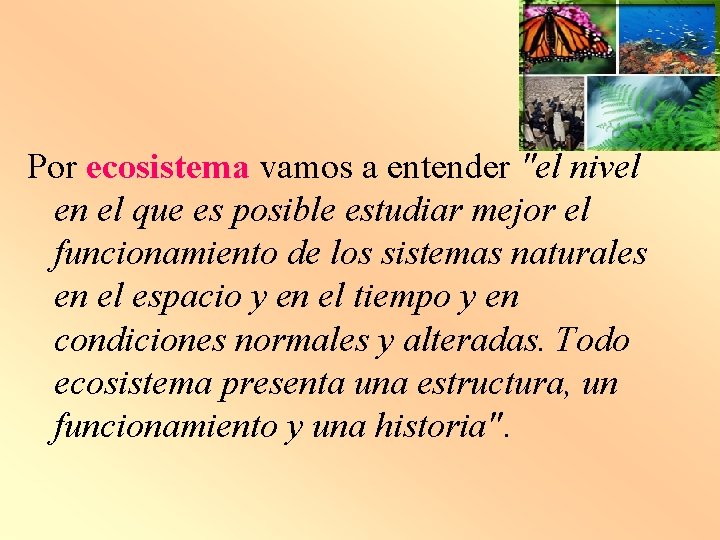 Por ecosistema vamos a entender "el nivel en el que es posible estudiar mejor