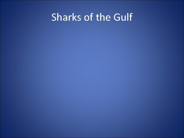 Sharks of the Gulf 