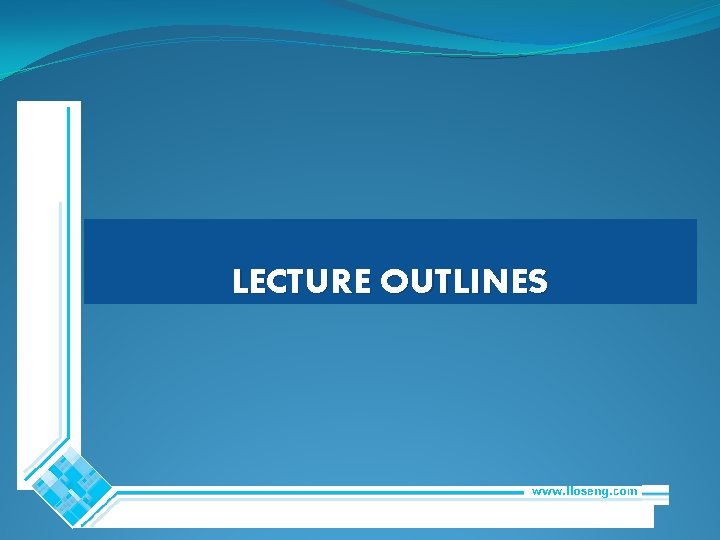 LECTURE OUTLINES LECTURE OUTLINES