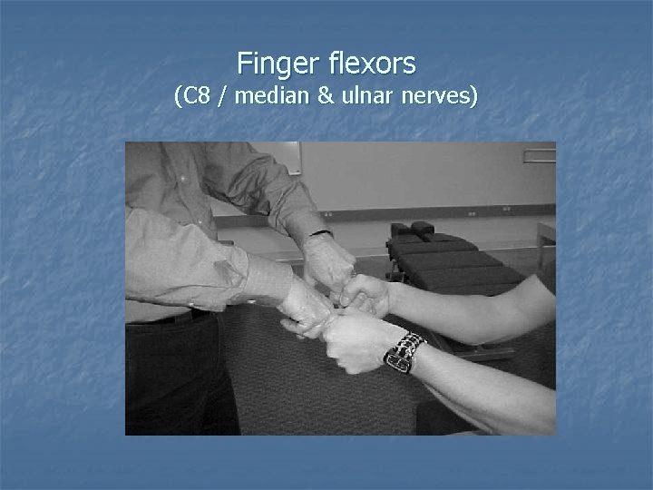 Finger flexors (C 8 / median & ulnar nerves) 