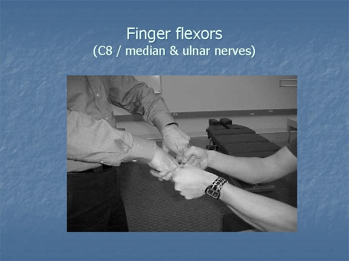 Finger flexors (C 8 / median & ulnar nerves) Finger flexors (C 8 / median & ulnar nerves)