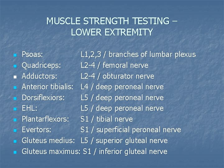 MUSCLE STRENGTH TESTING – LOWER EXTREMITY n n n n n Psoas: L 1,