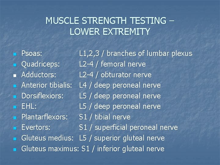 MUSCLE STRENGTH TESTING – LOWER EXTREMITY n n n n n Psoas: L 1, MUSCLE STRENGTH TESTING – LOWER EXTREMITY n n n n n Psoas: L 1,