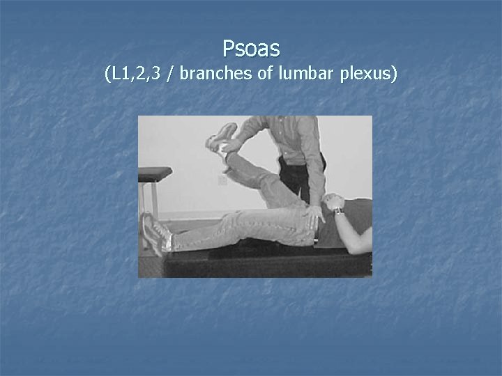 Psoas (L 1, 2, 3 / branches of lumbar plexus) Psoas (L 1, 2, 3 / branches of lumbar plexus)