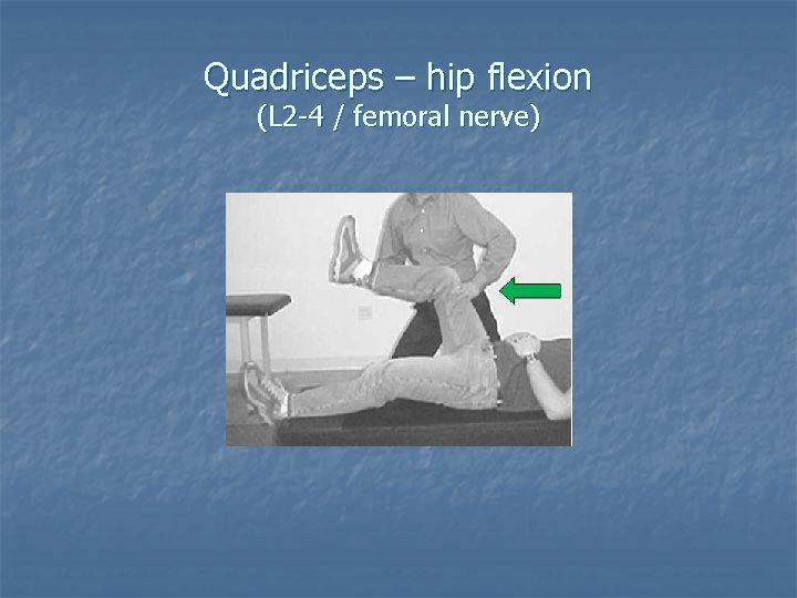 Quadriceps – hip flexion (L 2 -4 / femoral nerve) 