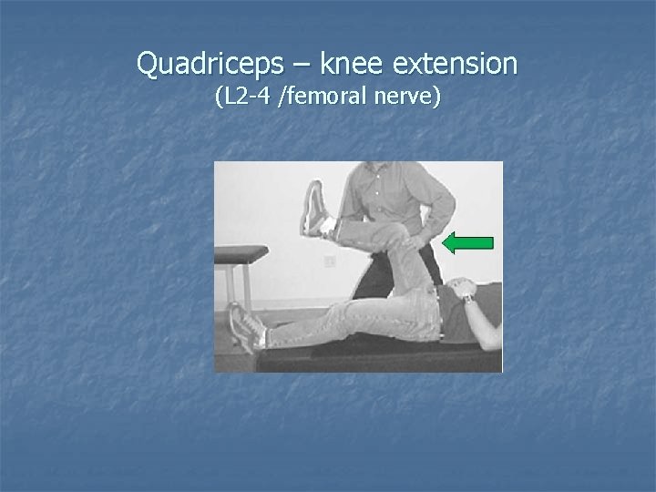 Quadriceps – knee extension (L 2 -4 /femoral nerve) 