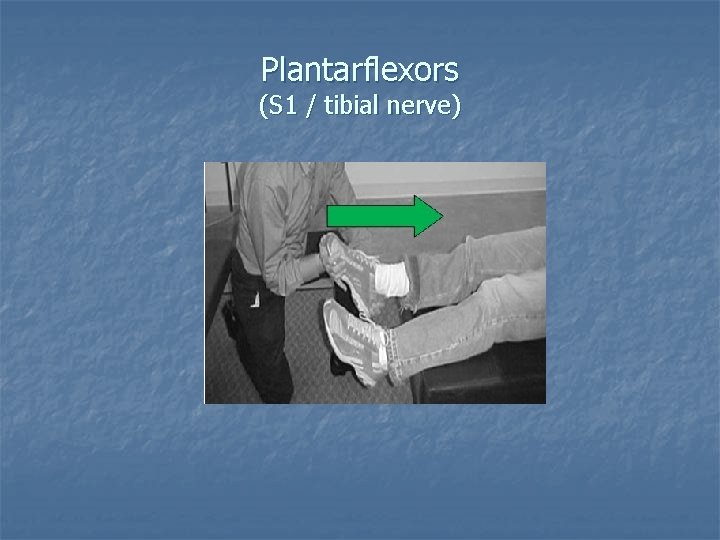 Plantarflexors (S 1 / tibial nerve) 