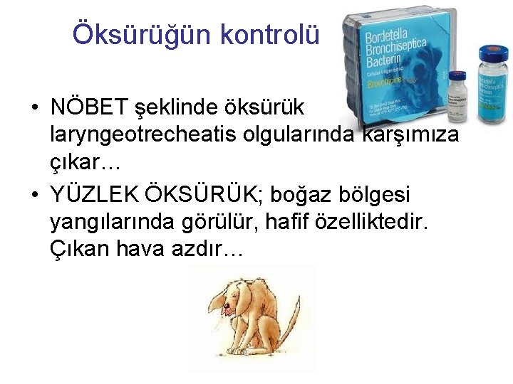 Öksürüğün kontrolü • NÖBET şeklinde öksürük laryngeotrecheatis olgularında karşımıza çıkar… • YÜZLEK ÖKSÜRÜK; boğaz