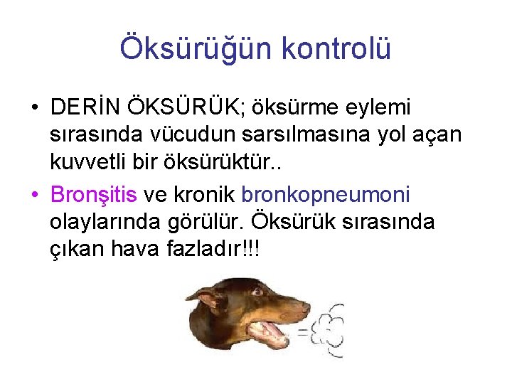 Öksürüğün kontrolü • DERİN ÖKSÜRÜK; öksürme eylemi sırasında vücudun sarsılmasına yol açan kuvvetli bir