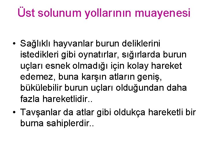 Üst solunum yollarının muayenesi • Sağlıklı hayvanlar burun deliklerini istedikleri gibi oynatırlar, sığırlarda burun