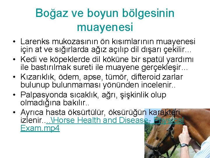 Boğaz ve boyun bölgesinin muayenesi • Larenks mukozasının ön kısımlarının muayenesi için at ve