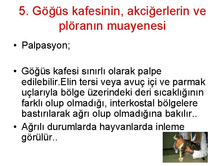 5. Göğüs kafesinin, akciğerlerin ve plöranın muayenesi • Palpasyon; • Göğüs kafesi sınırlı olarak