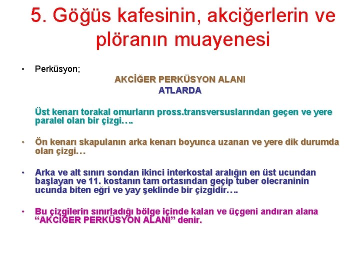 5. Göğüs kafesinin, akciğerlerin ve plöranın muayenesi • Perküsyon; AKCİĞER PERKÜSYON ALANI ATLARDA Üst