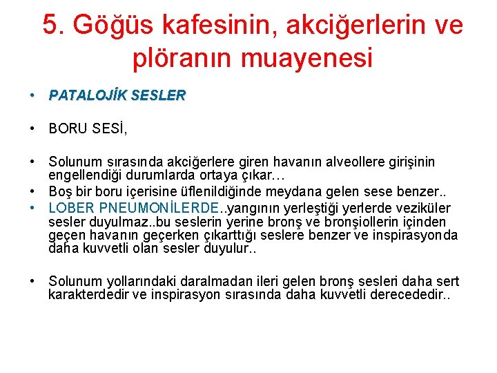 5. Göğüs kafesinin, akciğerlerin ve plöranın muayenesi • PATALOJİK SESLER • BORU SESİ, •