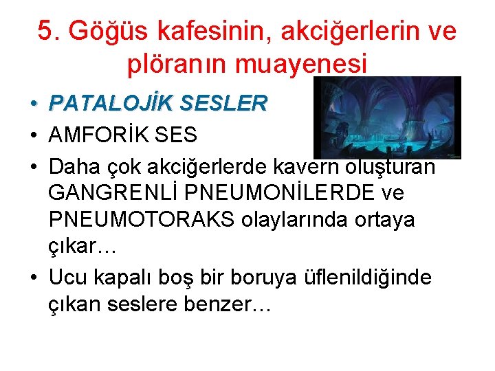 5. Göğüs kafesinin, akciğerlerin ve plöranın muayenesi • PATALOJİK SESLER • AMFORİK SES •