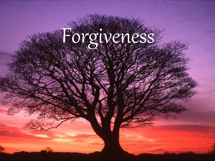 Forgiveness 