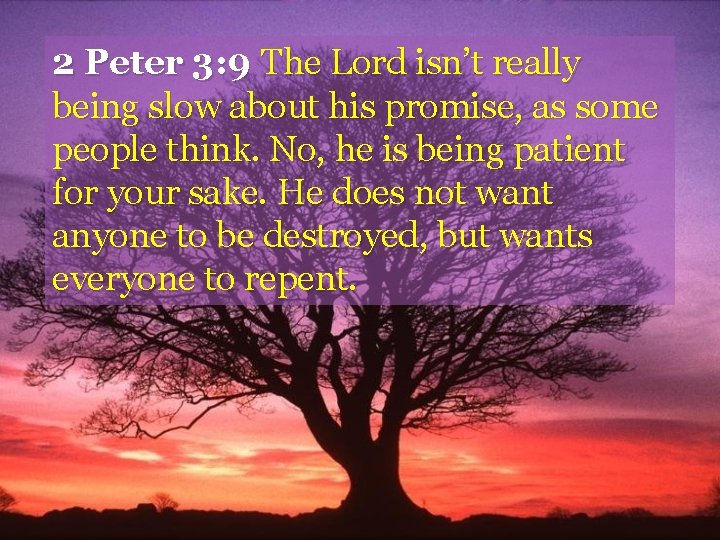 2 Peter 3: 9 The Lord isn’t really being slow about his promise, as