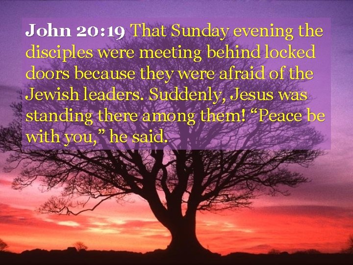 John 20: 19 That Sunday evening the disciples were meeting behind locked doors because